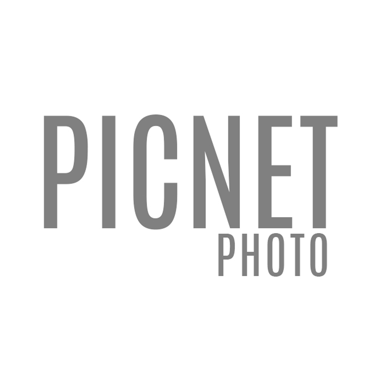 PicNet Photo logo
